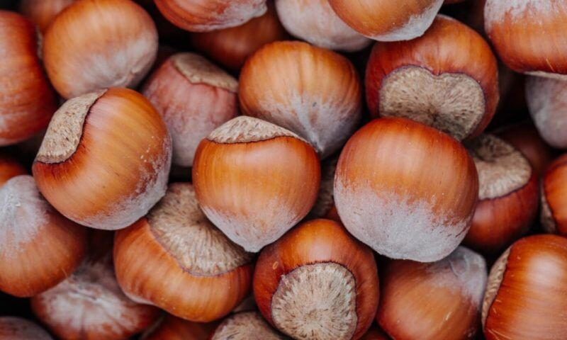    Фото freepik.com