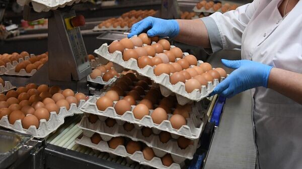    © Sputnik / Александр Кряжев