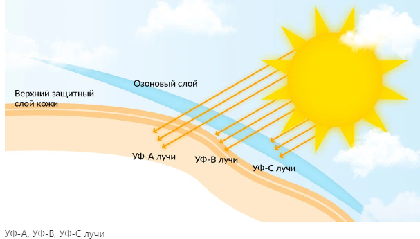 optimistoptica.yapokupayu.ru