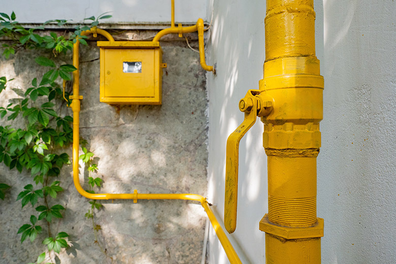    Shutterstock/FOTODOM