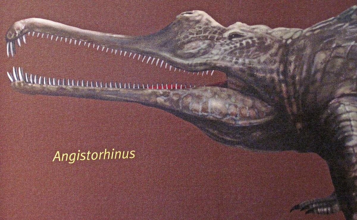 Реконструкция ангисторинуса.