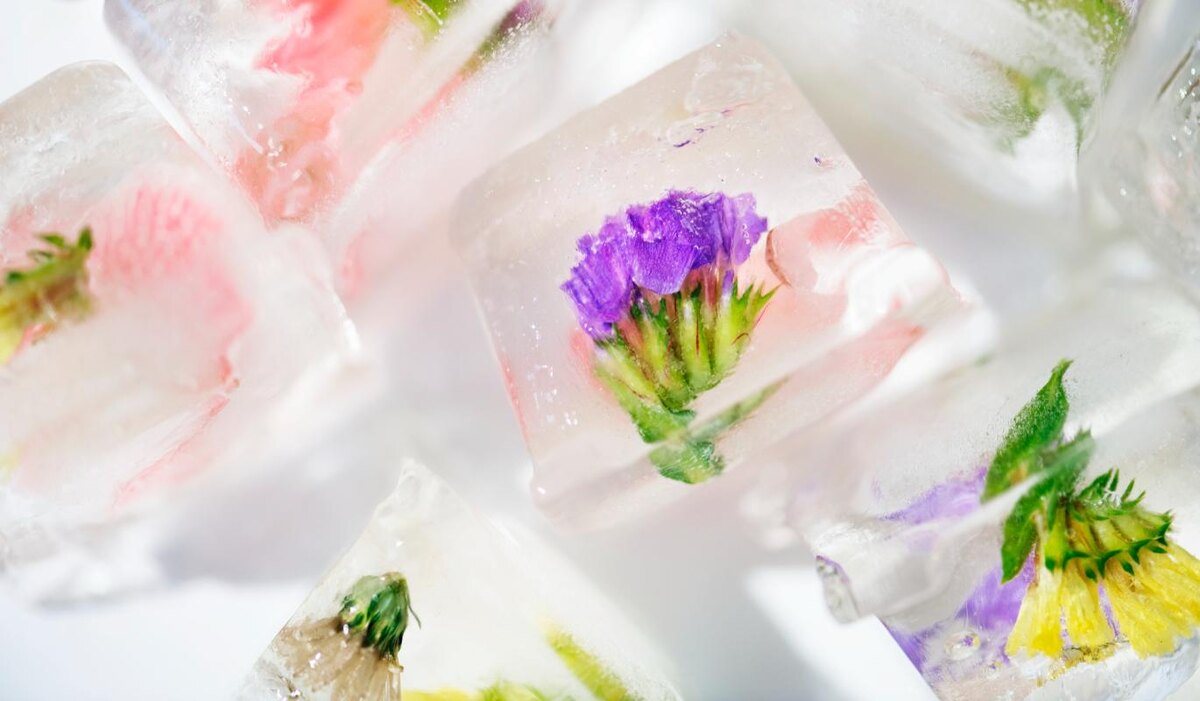     Охлаждаемся в жару: рецепты льда для лица, которые легко приготовить дома