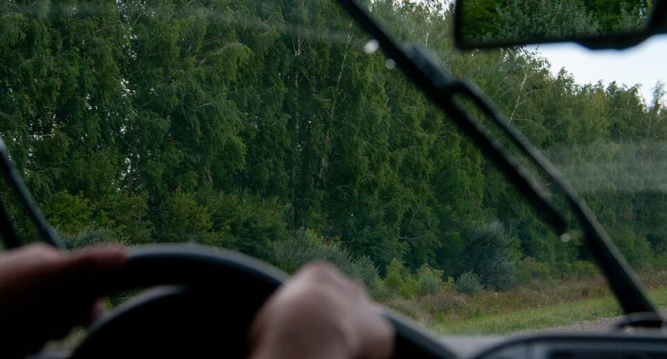    Svetlana Vozmilova/Global Look Press / www.globallookpress.com