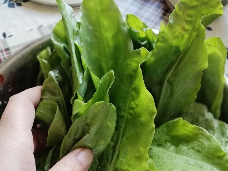     Главные источники магния — зелень, злаки, орехи. Фото: Архив МК в Великом Новгороде