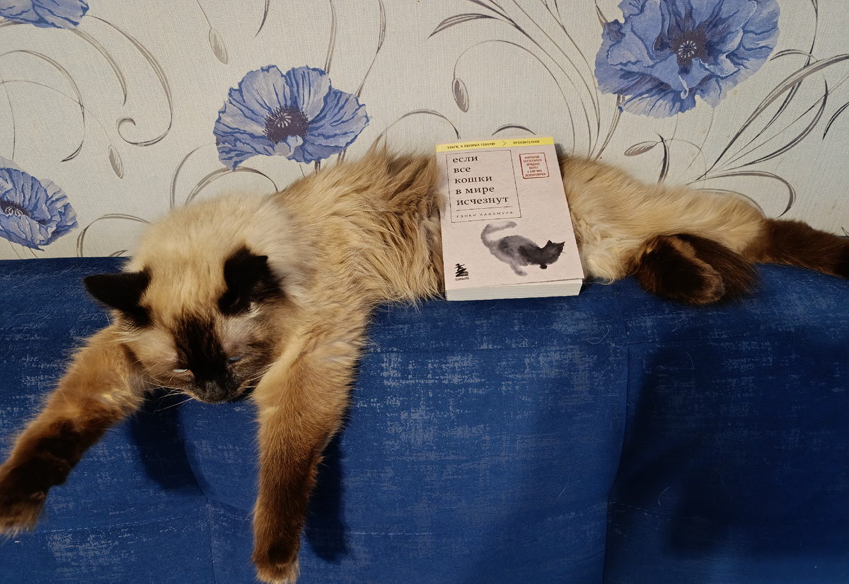 Сегодня книгу от издательства "Бомбора", занимающегося выпуском жизнеутверждающих книг, представляет Джессика. 