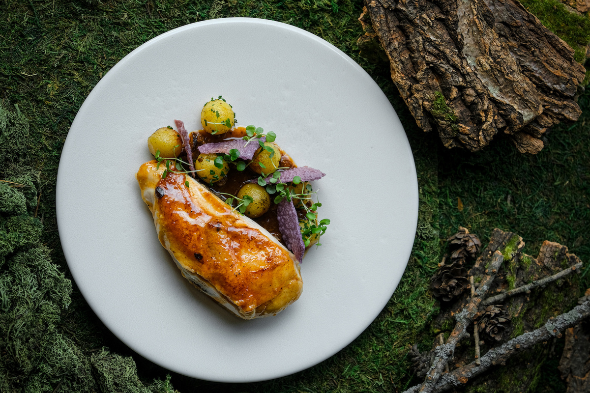     Голоса регионов: новая гастрономия и русское вино от Пензы до Уфы