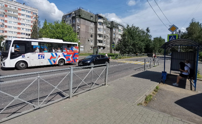    © Всеволожский муниципальный район ЛО