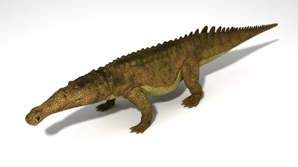 Лептозух. 3D модель.