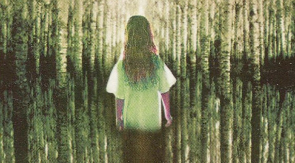     Обложка книги «Девочка, которая любила Тома Гордона» (1999)