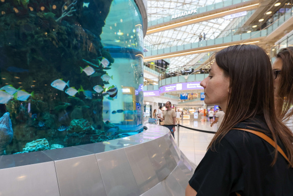     Артем Геодакян/ТАСС