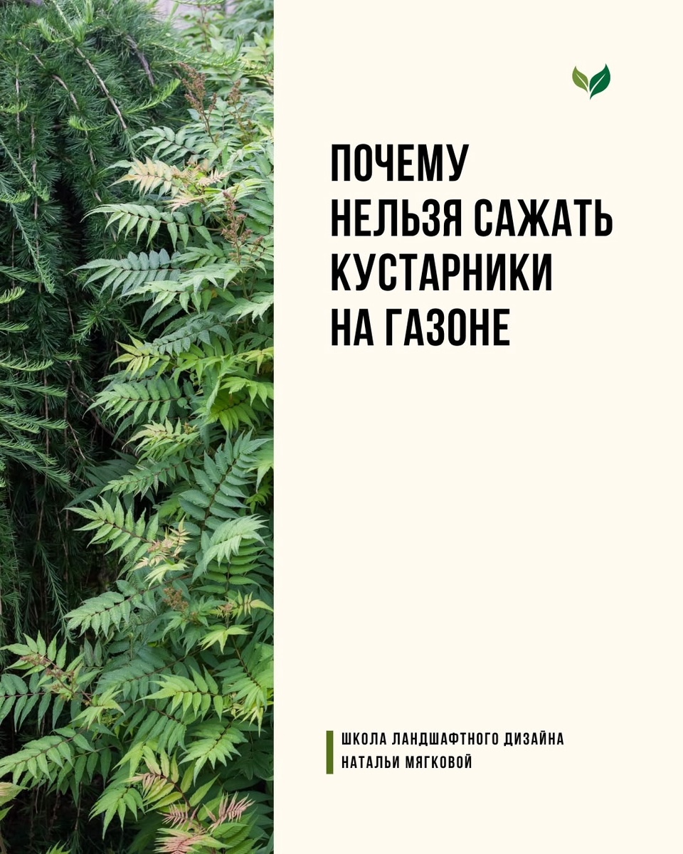 Листайте галерею по стрелке вправо 