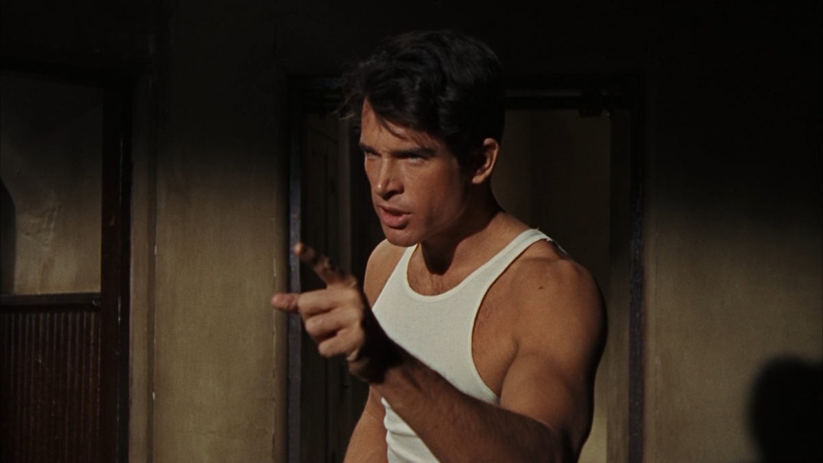 Роль Клайда Бэрроу активно прочили Бобу Дилану. 