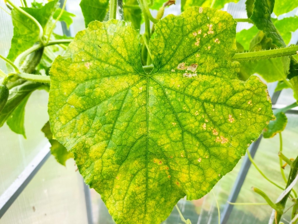 Иногда проблемы возникают все сразу, а не по одной, но мы разберем каждую в отдельности...