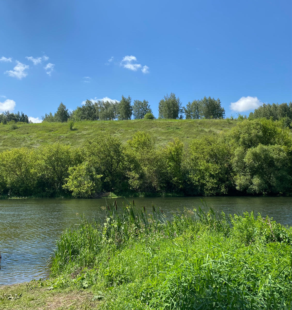 Река Дон в Данкове