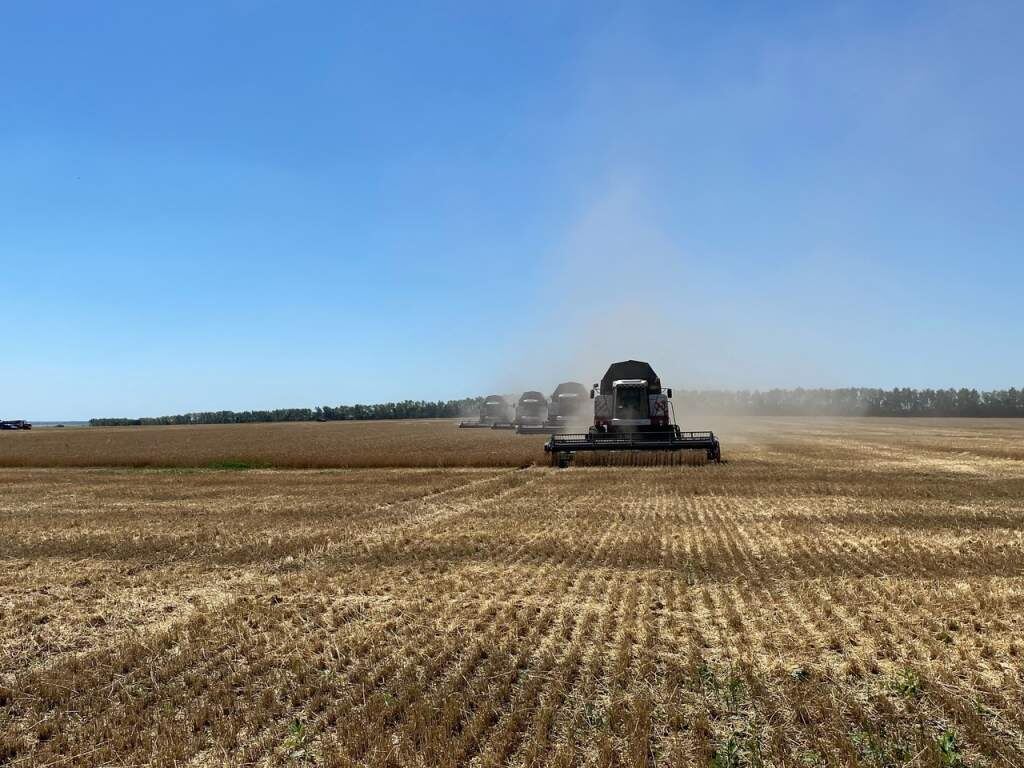    Фото из архива "КурскСити"