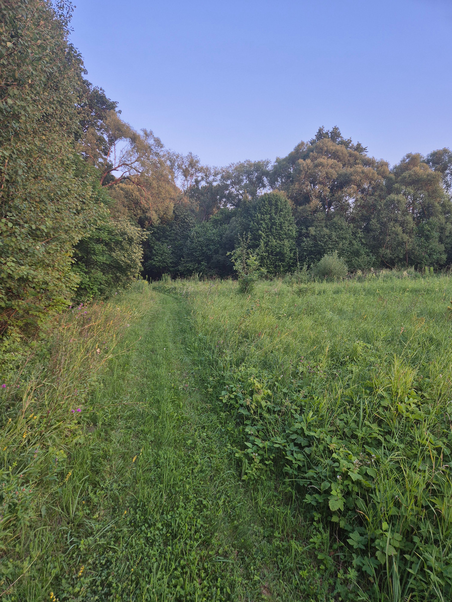 Хорошо в деревне летом, особенно когда не очень жарко.