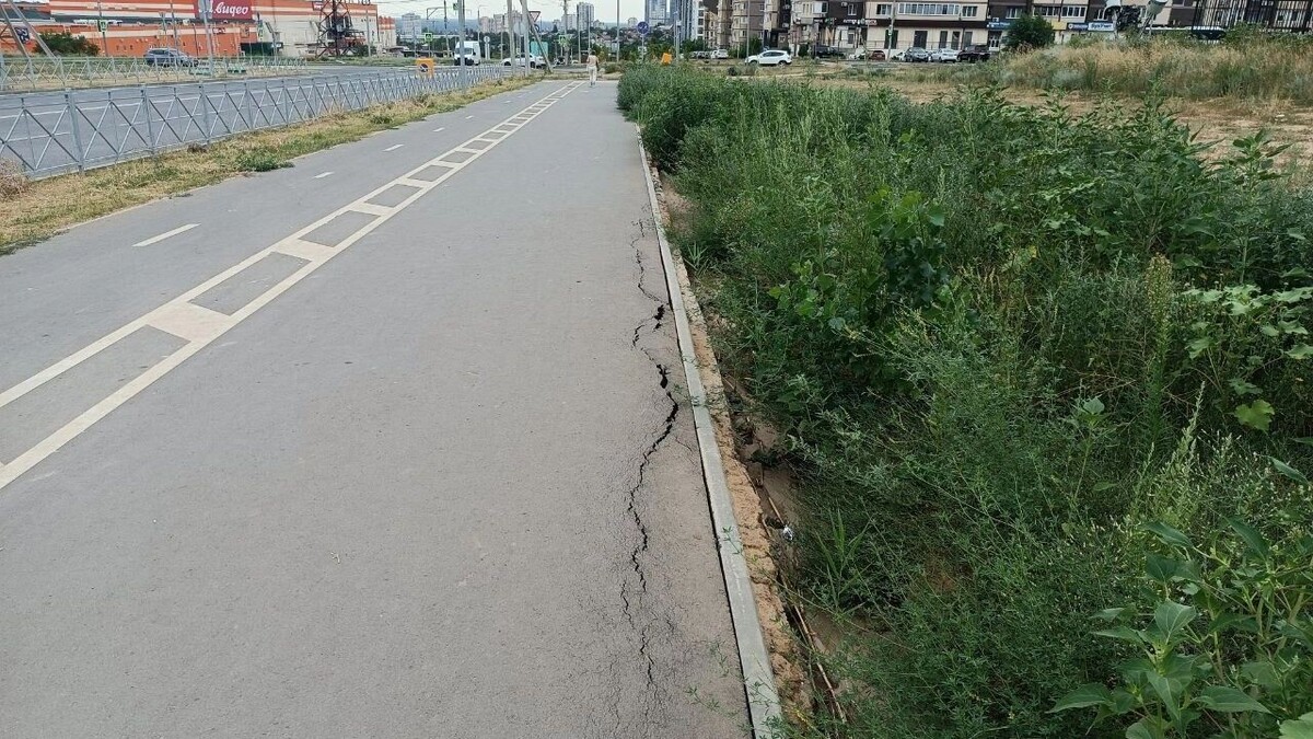     Источник: novostivolgograda.ru