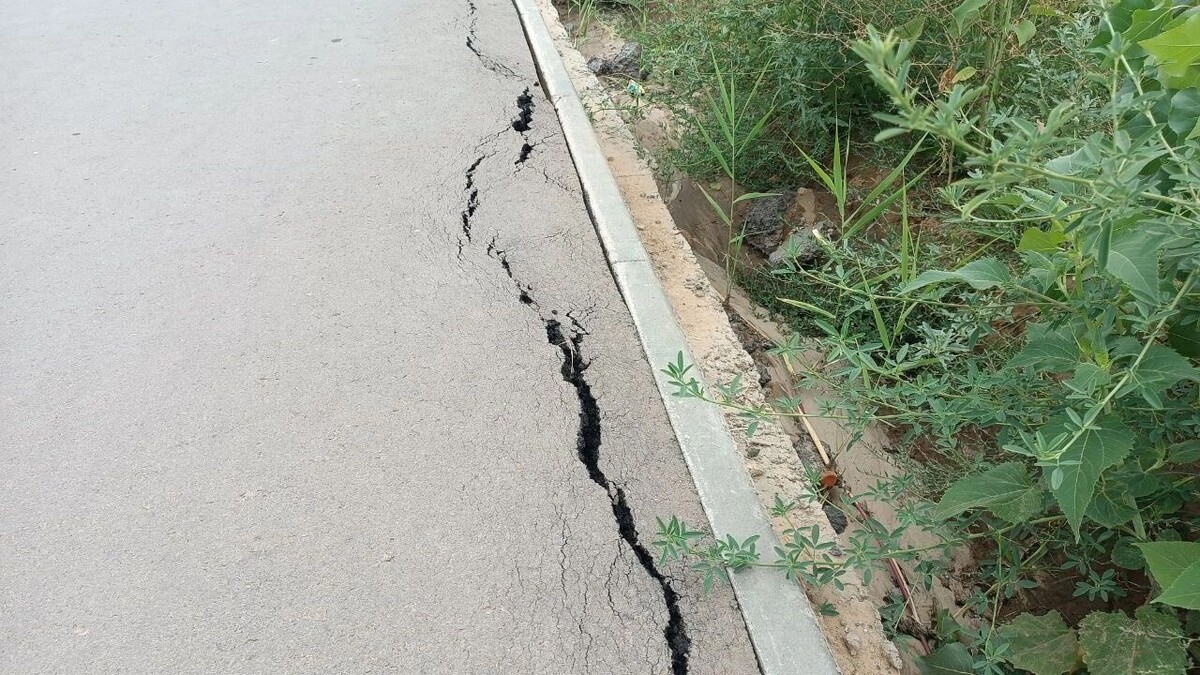     Источник: novostivolgograda.ru