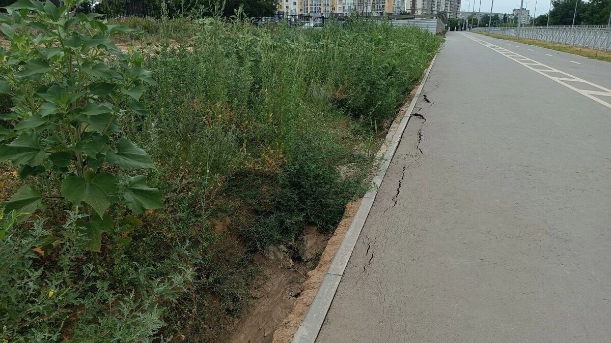     Источник: novostivolgograda.ru