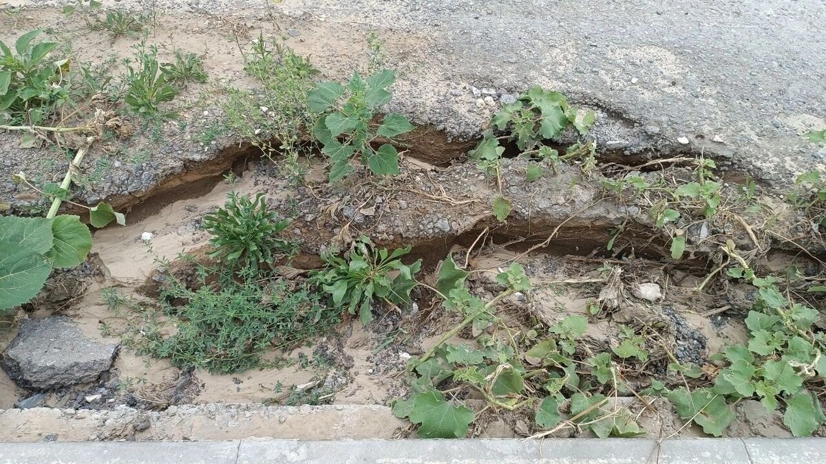     Источник: novostivolgograda.ru