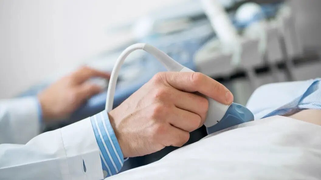    Фото: Sergey/shutterstock.com