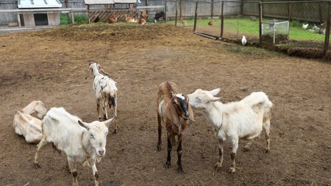    Belkin Alexey/news.ru/Globallookpress