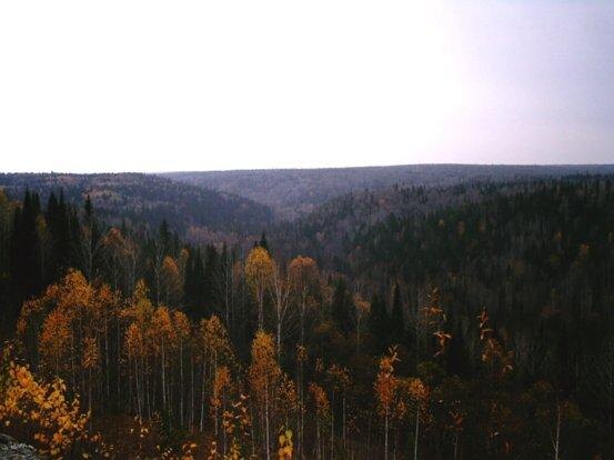 Окрестности села Каменка