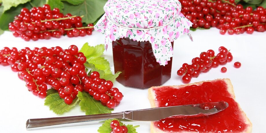    Фото: depositphotos/Boarding2Now