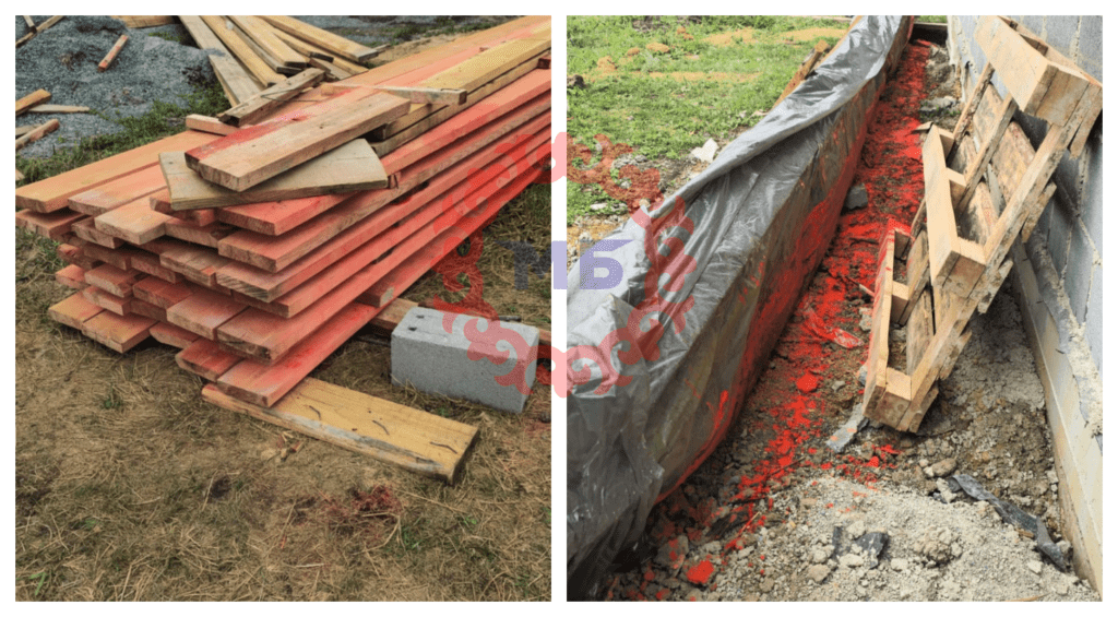 Фото: соцсети  📷
