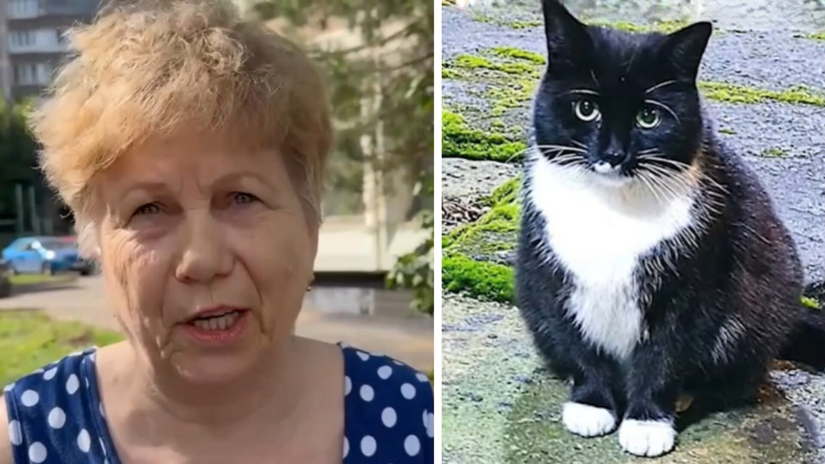 Слева Валентина, боровшаяся за жизнь кошек больше недели, справа - онда из пленниц