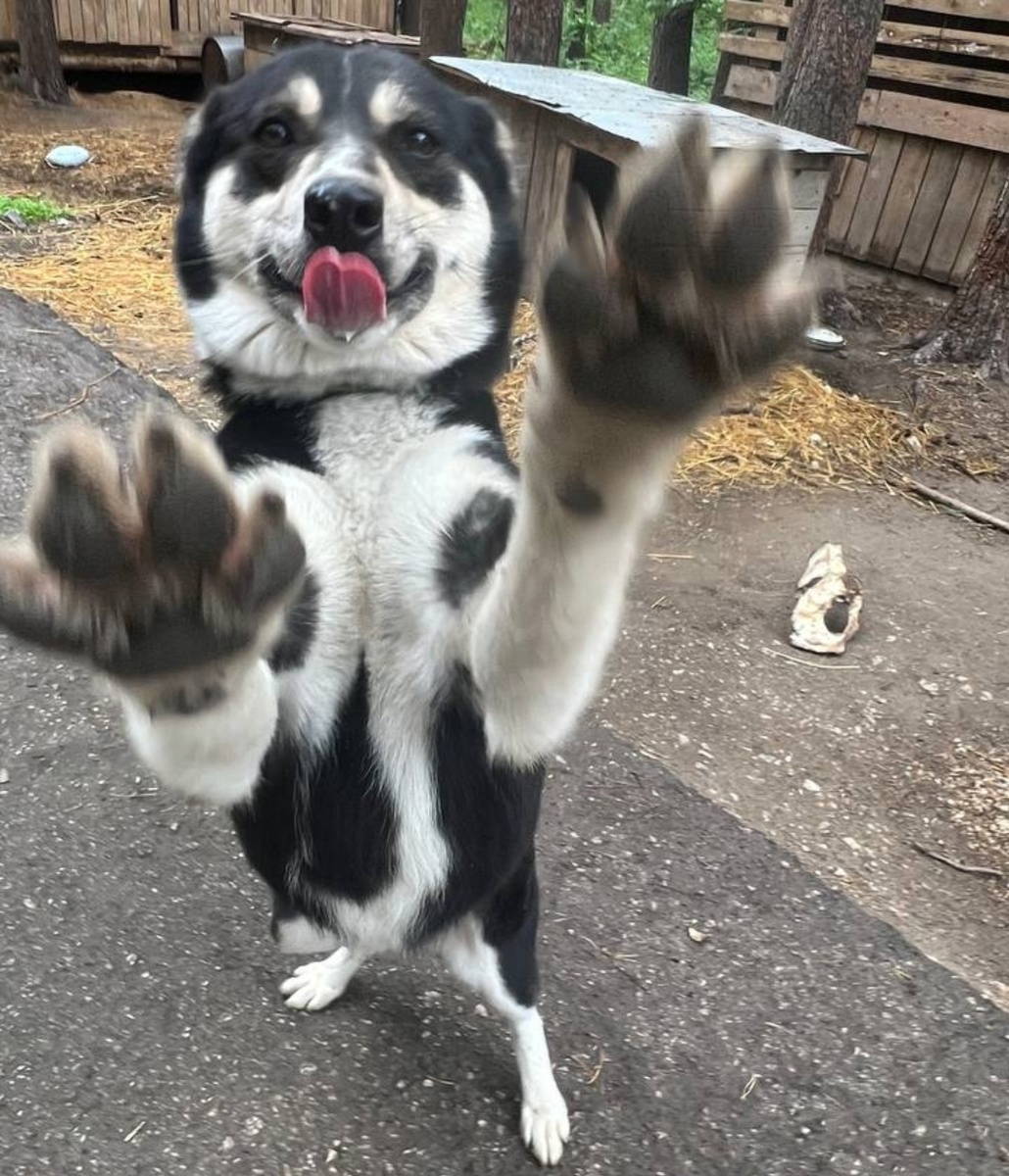 Только подойди ко мне, и я тебя обниму, сильно, сильно