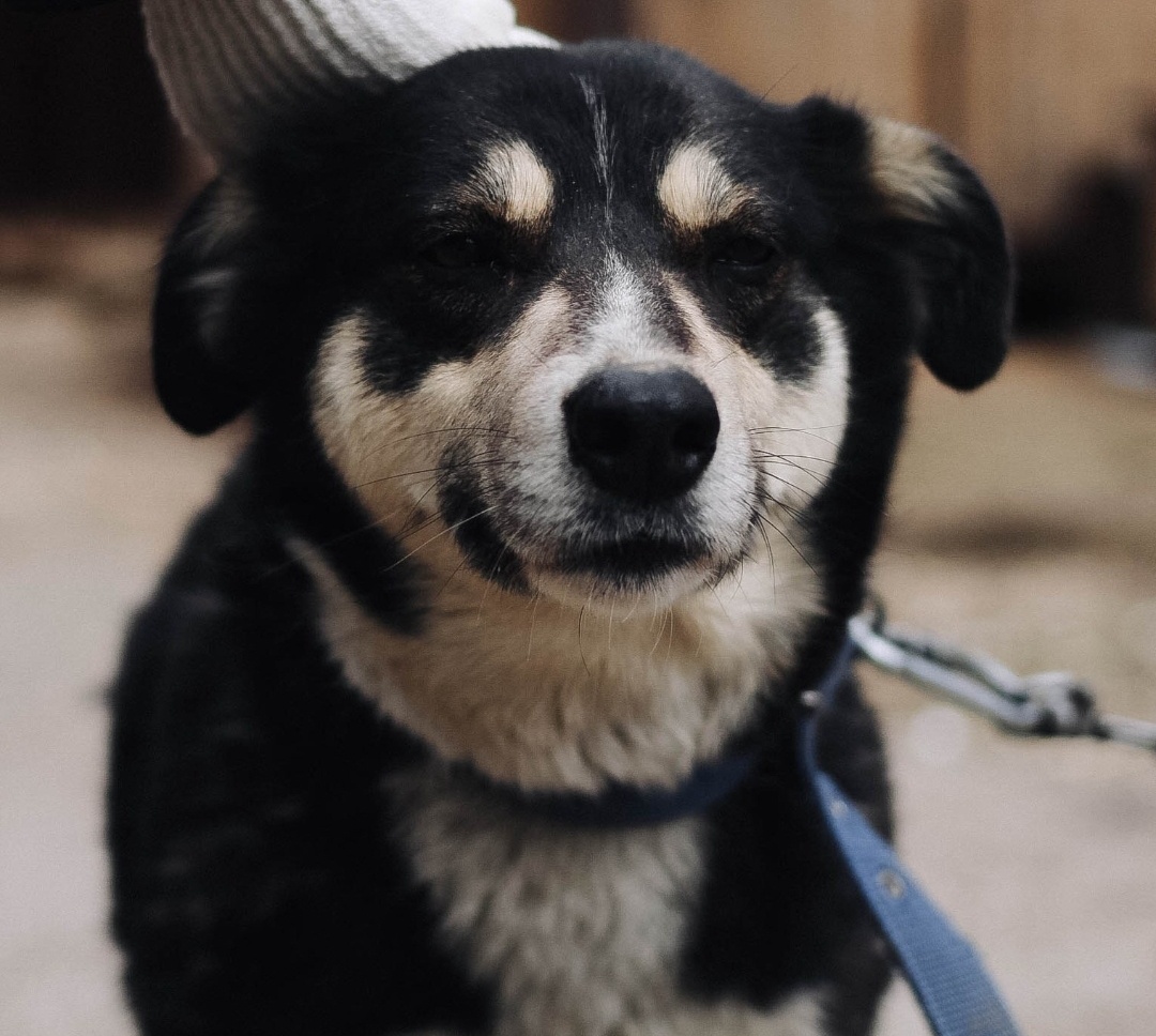 Очень любит детей