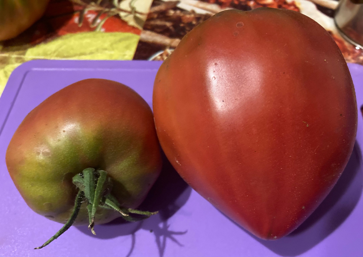 Бычье сердце черное от Борисовны