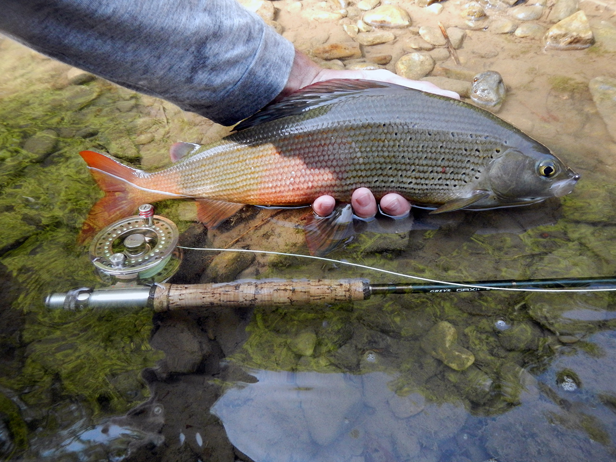 Фото с сайта: https://www.sloveniafishing.info