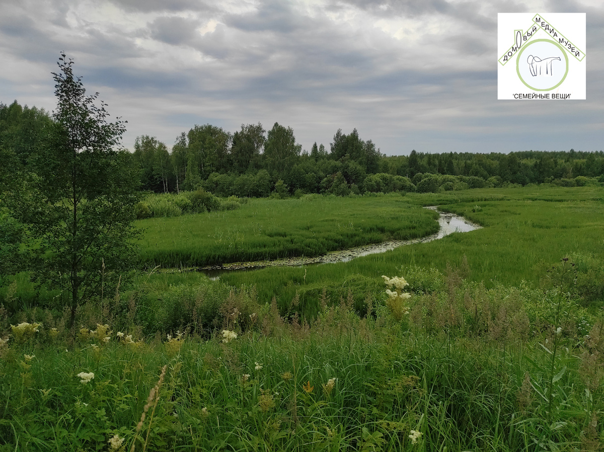 Вид на р.Пижанью с берега, где раньше была деревня Кряжево (2024г., фото из личного архива)
