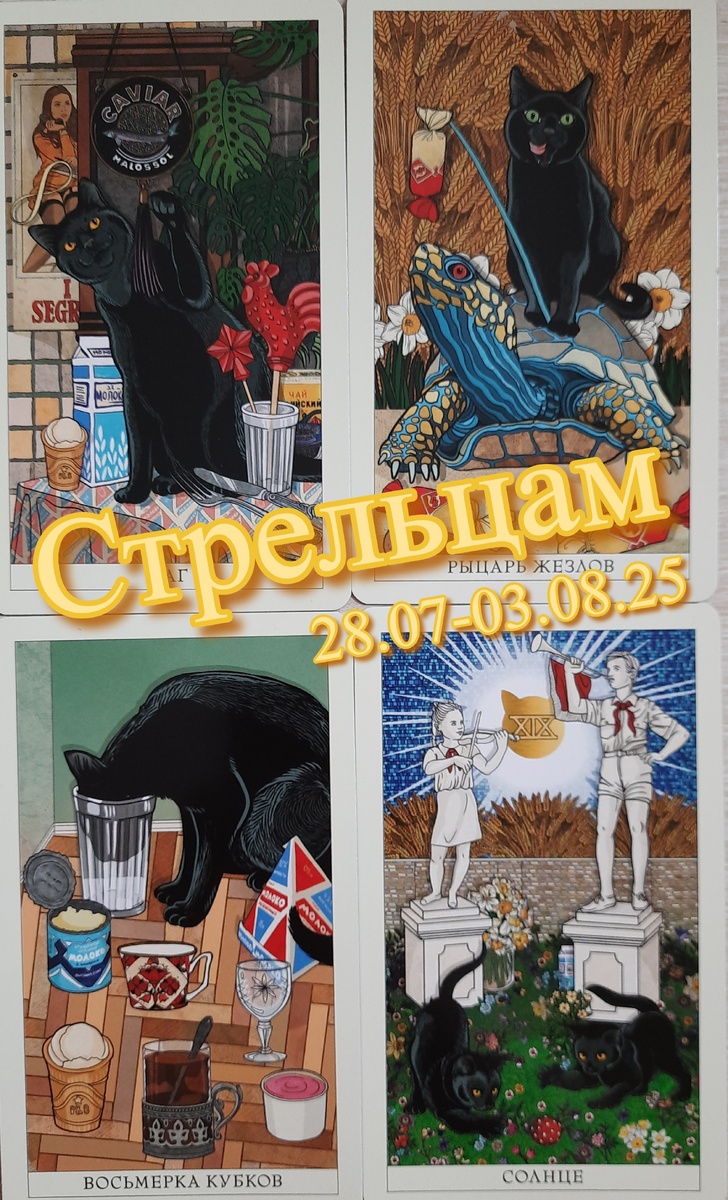 фото ЕлВита