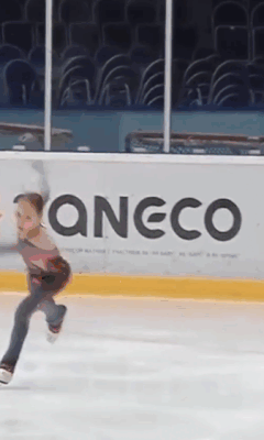 4Л (падение)