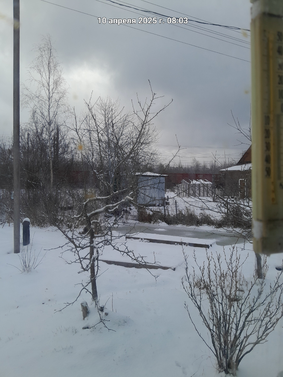 А в городе на Неве уже асфальт моют, это апрель