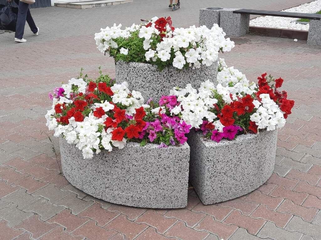    Фото из архива "КурскСити"