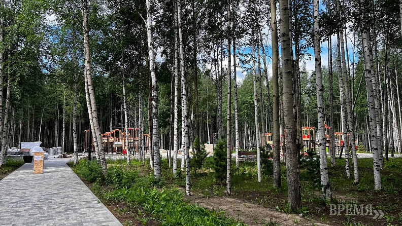    Из парка Победы в Нижневартовске делают многофункциональное пространство