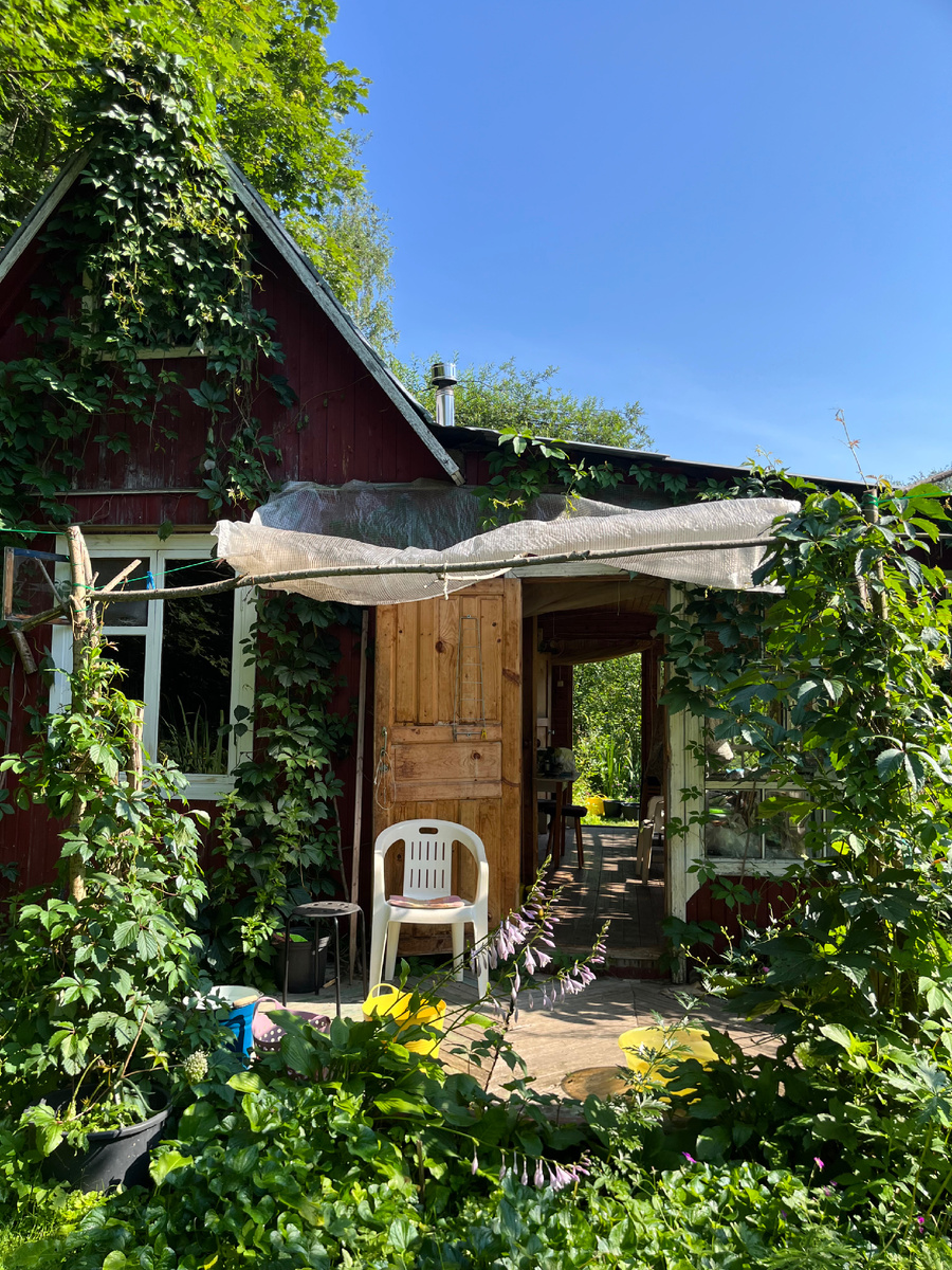 Солнечный денек