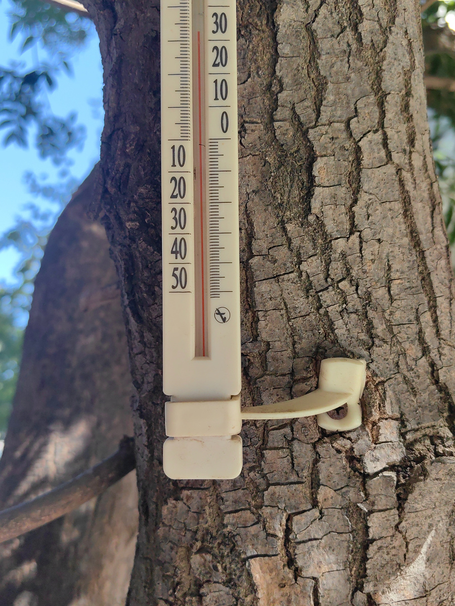 Сегодня. Фото автора канала