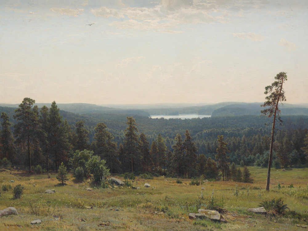 Картина И. Шишкина «Лесные дали» (1884). Артикул: 104676