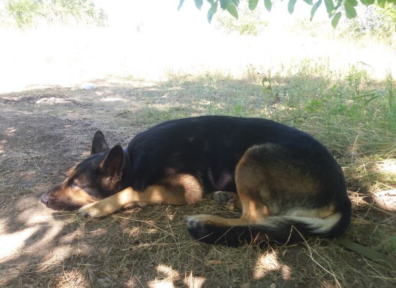 Фото автора