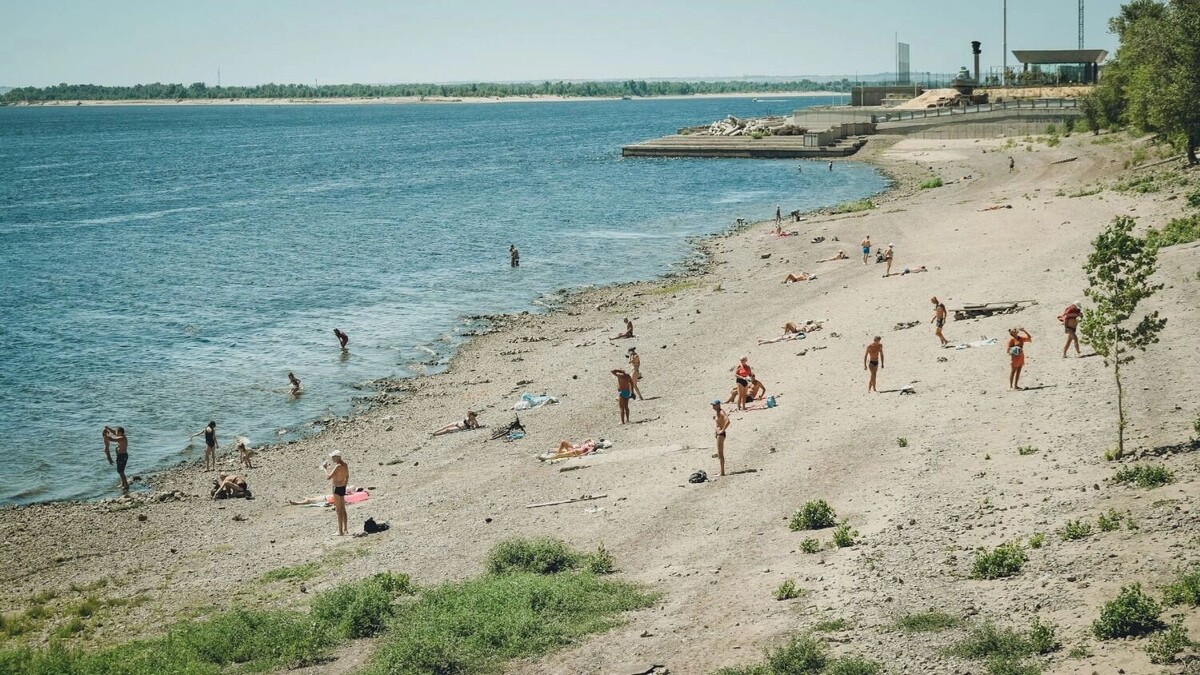     Автор: Антон Засимов Источник: novostivolgograda.ru