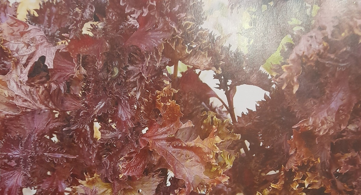 Фото автора канала