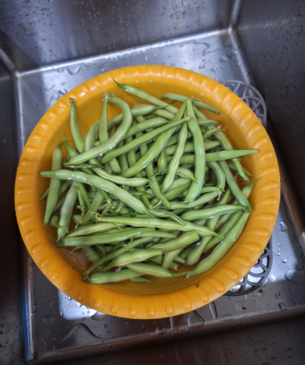 Надо промыть. Залила водой. Стрючки росли близко к земле, на них может быть песок 