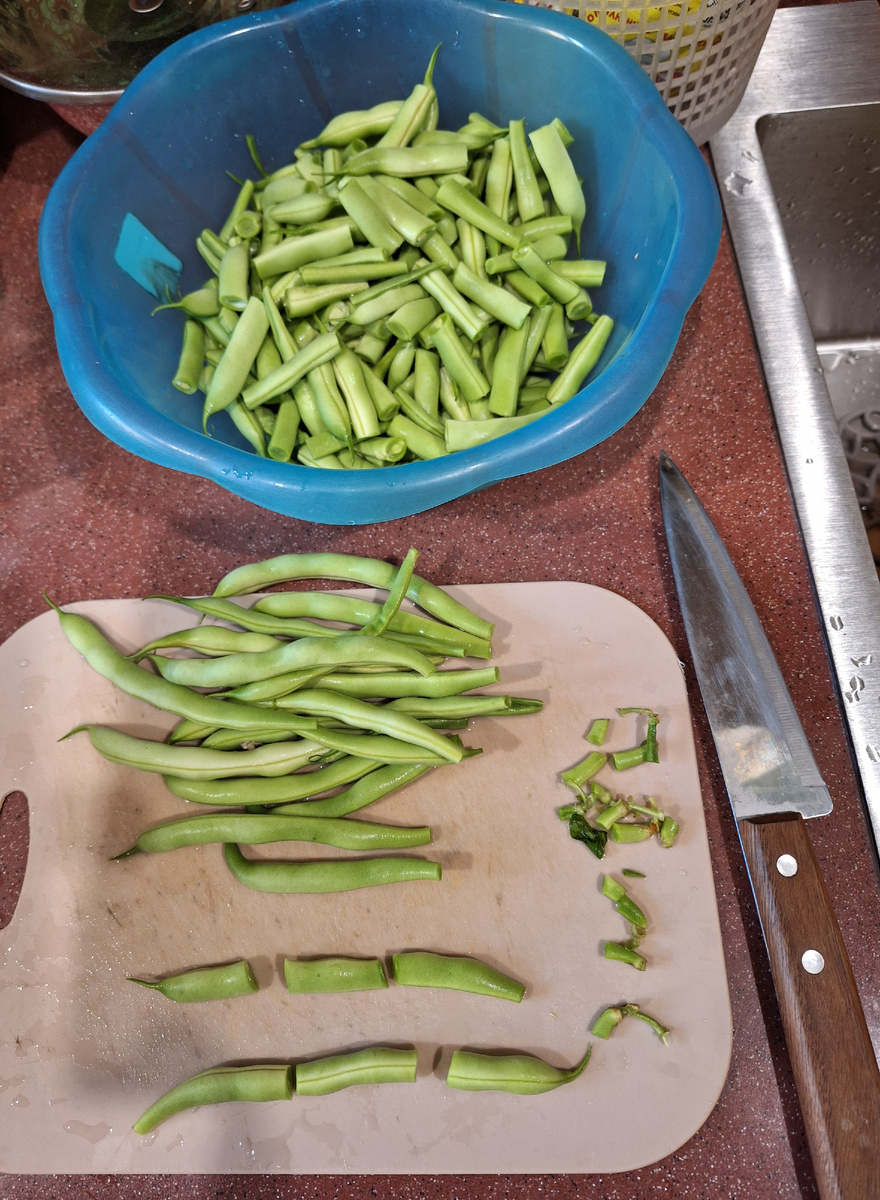 Веточки убрала. Стрючки нарезала на части, чтобы удобно было есть 