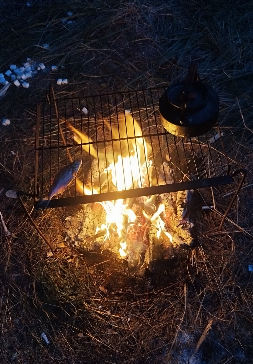 Первая ночь в походе