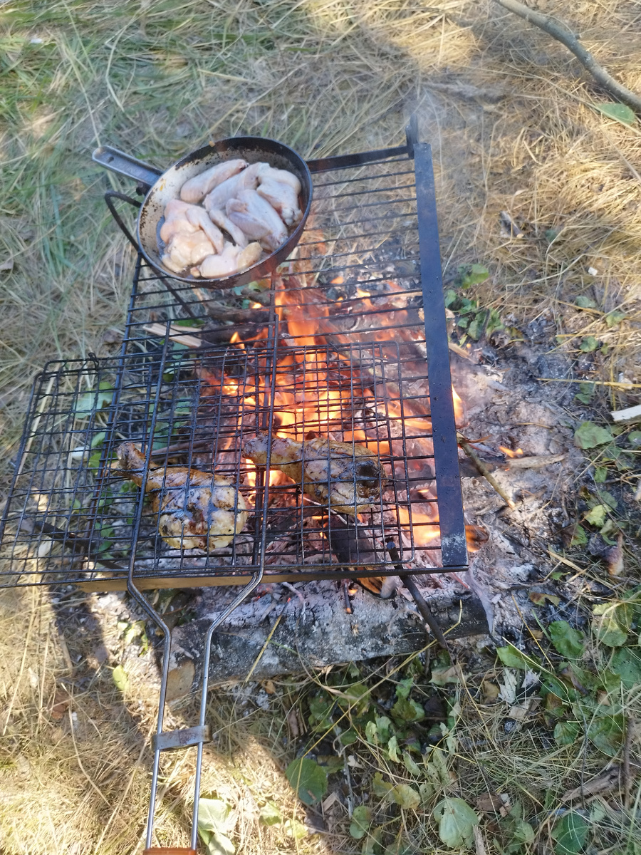 Еда: наша домашняя курочка